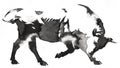 Black and white monochrome painting with water and ink draw bull illustration Royalty Free Stock Photo