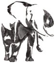 Black And White Monochrome Painting With Water And Ink Draw Elephant Illustration