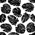 Black and White Monstera tropical leaf Pattern Royalty Free Stock Photo