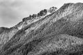 Black White Mount Si Snow Evergreen North Bend Washington Royalty Free Stock Photo