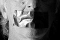 Black and white mouth duct taped shut