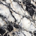 Black and White Natural Marble Pattern Texture Background Royalty Free Stock Photo