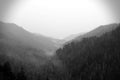 Black and White Nature Photography of the Smokey Mountains in Tennessee.