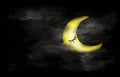 Black and white of night sky with Crescent moon face and stars Royalty Free Stock Photo