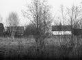 Black & white nude tree branched at farm