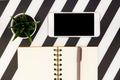 Black and White office desk table with blank notebook, smartphone and succulent. Top view with copy space, flat lay Royalty Free Stock Photo