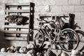 Black and white artistic display of old bike on wall with pallets