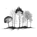 Black and white old tree vector line art illustration Royalty Free Stock Photo