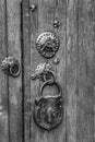 Black and white of an old wooden door Royalty Free Stock Photo