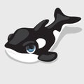 Black-and-white orca with blue eyes