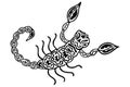 Black and white ornamental scorpion in ethnic style. Hand-drawn arthropod of the arachnid class. Zodiac sign Scorpius. Isolate for