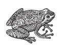 Black and white ornate doodle frog in graphic style Royalty Free Stock Photo