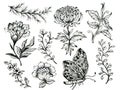 Black and White outline elements Floral plants on white Design for home decor, fabric, carpet, wrapping, card