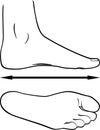 Black and white outline of the foot