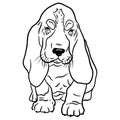 Black and white outline illustration of a cute basset hound puppy for your design