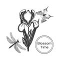 Black and white outline Iris flower illustration
