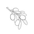 Black and white outline Olive branch with leaves and olives isolated on background. design for restaurant, cafe, menu or organic Royalty Free Stock Photo