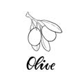 Black and white outline Olive branch with leaves and olives isolated on background. design for restaurant, cafe, menu or organic Royalty Free Stock Photo