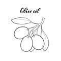 Black and white outline Olive branch with leaves and olives isolated on background. design for restaurant, cafe, menu or organic Royalty Free Stock Photo