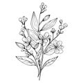 Black and white outline vector coloring book page for adults and wildflowers with leaves buds hand-drawn flowers, Royalty Free Stock Photo