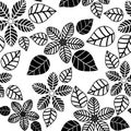 Black and white outlines floral seamless pattern