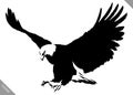 Black and white paint draw eagle bird vector illustration