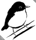 Black and white paint draw sparrow bird vector illustration
