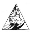 black and white paint draw wolf illustration abstraction with a black pen - wolf Royalty Free Stock Photo