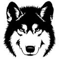 Black and white paint draw wolf illustration Royalty Free Stock Photo