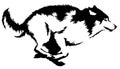 Black and white paint draw wolf illustration Royalty Free Stock Photo