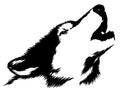 Black and white paint draw wolf illustration Royalty Free Stock Photo