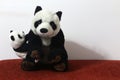 Black and white panda doll.