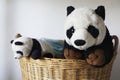 Black and white Panda doll.