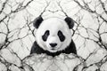 Black white panda marble stone design Royalty Free Stock Photo