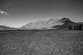 Black and white panorama of Piatra Secuiului Szekelyko Mountain in the Romanian Carpathians Royalty Free Stock Photo