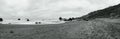Black and white panoramic image of a rocky beach on the california coast Royalty Free Stock Photo