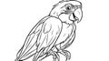 Outline of a Parrot perched on a branch Royalty Free Stock Photo