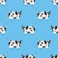 Black and white patches cow isolated on blue background is in Seamless pattern - vector