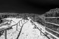 Black and white of path towards the sea through the beach