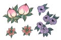 Peach flower for tattoo.Chinese flower vector.Hand drawn peach juice with cherry blossom.