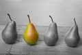 Black and white pears fruit with one piece in color