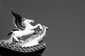 Black and white Pegasus sculpture