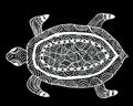 A black and white pen drawing of a patterned turtle.