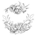 Black and white pencil sketch illustration, wreath of tulip, peony and eucalyptus