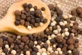 Black and white Peppercorns on a wooden spoon Royalty Free Stock Photo