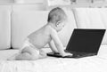 Black and white photo of adorable baby boy whith laptop Royalty Free Stock Photo