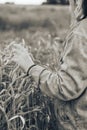 Black and white photo of an adult young girl in a wheat field Royalty Free Stock Photo