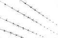 Black and white photo of barbed wire on the background of a white overcast sky