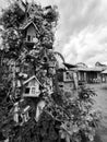 Black and white photo of a beautiful and lovely bird's houses tree