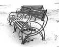 Black and White photo of benches during winter in park Royalty Free Stock Photo
